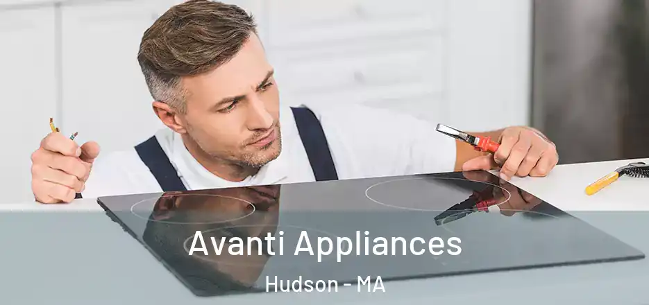 Avanti Appliances Hudson - MA