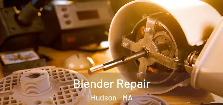 Blender Repair Hudson - MA