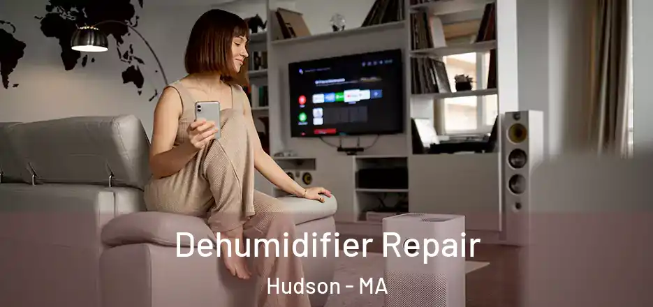 Dehumidifier Repair Hudson - MA
