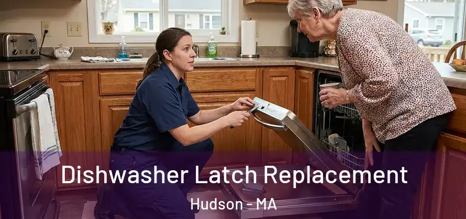 Dishwasher Latch Replacement Hudson - MA