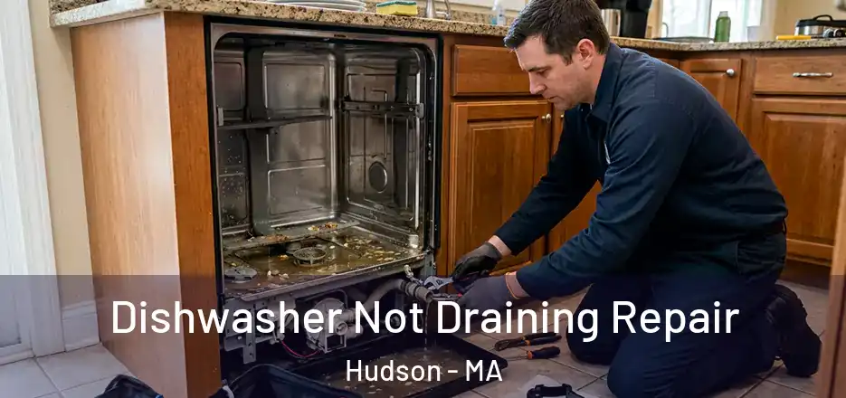Dishwasher Not Draining Repair Hudson - MA