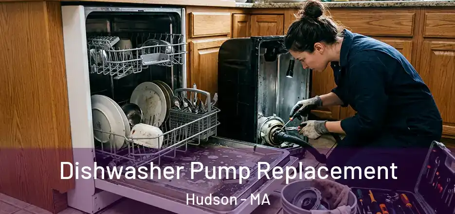 Dishwasher Pump Replacement Hudson - MA