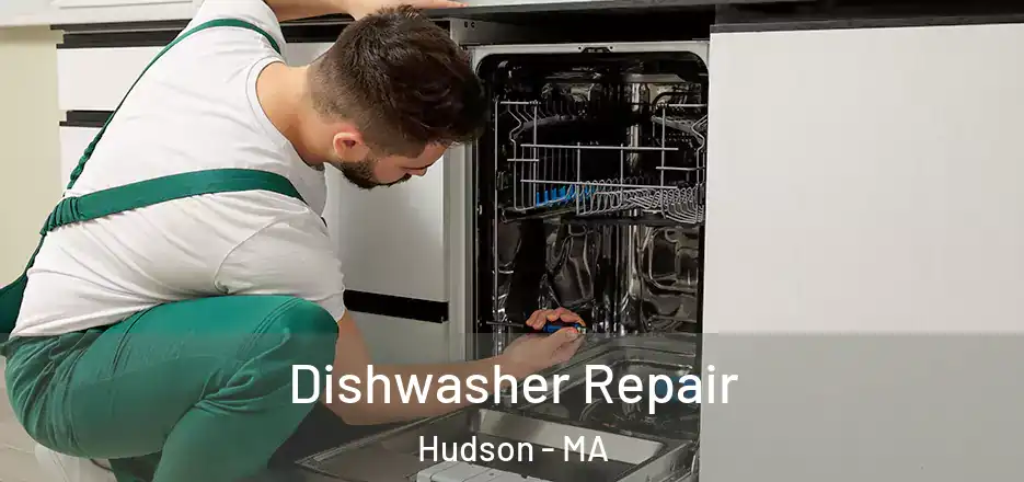 Dishwasher Repair Hudson - MA
