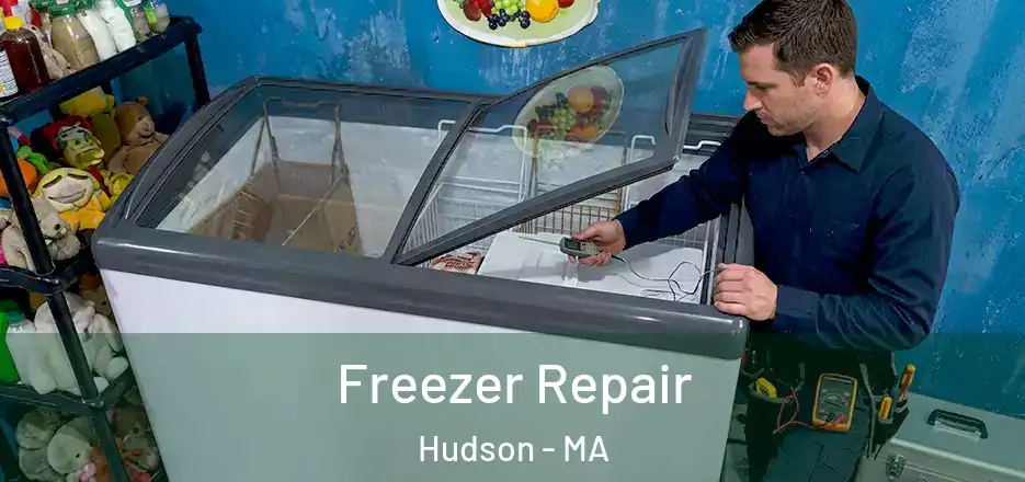 Freezer Repair Hudson - MA