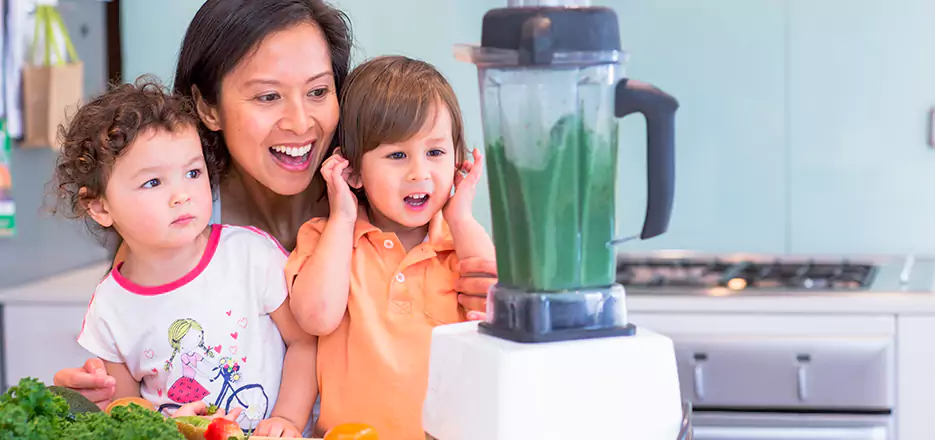 Juicer and Mixer Blender Repair in Hudson