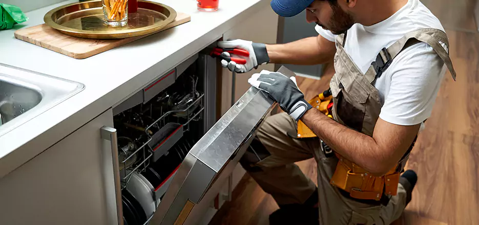 Same Day Dishwasher Not Draining Repair in Hudson