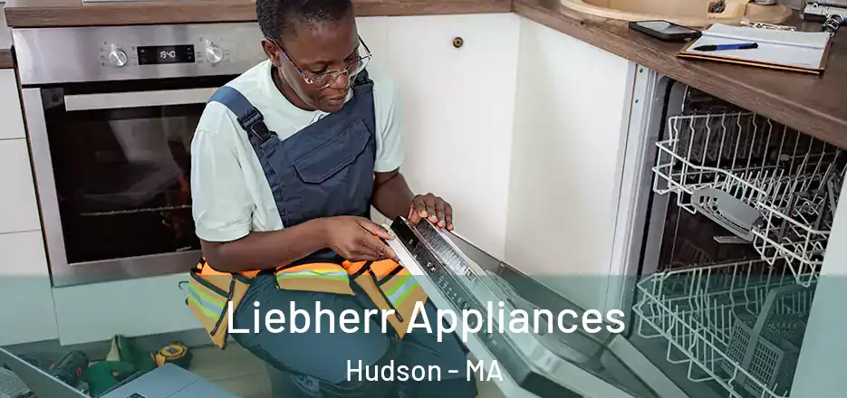Liebherr Appliances Hudson - MA