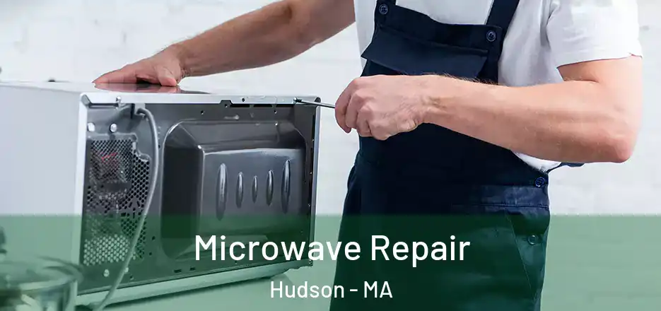 Microwave Repair Hudson - MA