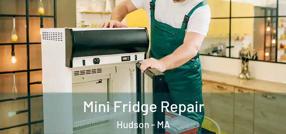 Mini Fridge Repair Hudson - MA