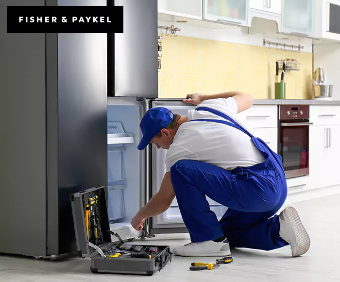 Top-Rated Fisher & Paykel Appliance Experts: Your Brand Specialist in Hudson, MA