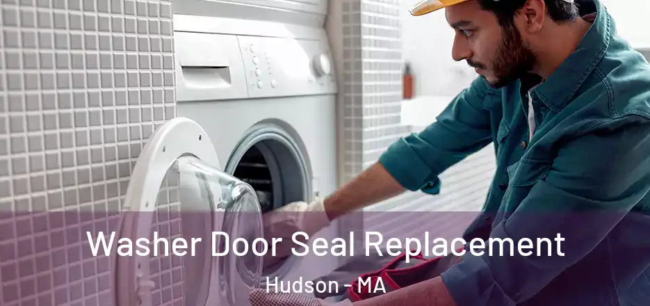 Washer Door Seal Replacement Hudson - MA