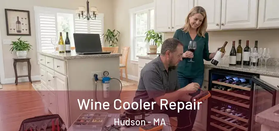 Wine Cooler Repair Hudson - MA
